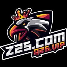 Z25 Game .